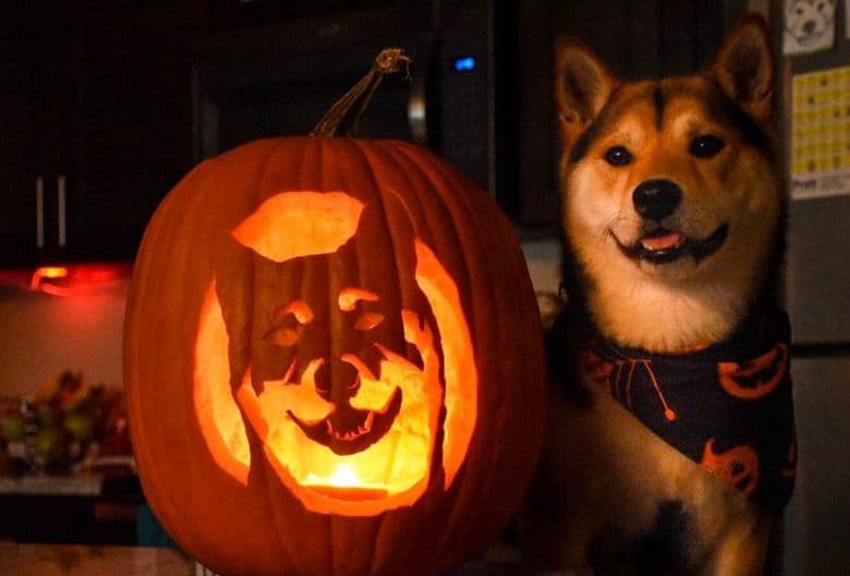 Гарбузові ліхтарі або Jack-o'-lantern: секрети різьблення на Хелловін