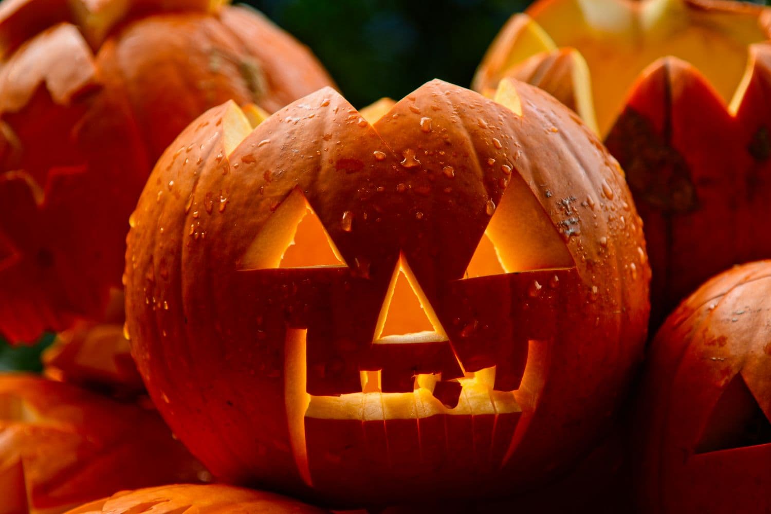 Гарбузові ліхтарі або Jack-o'-lantern: секрети різьблення на Хелловін